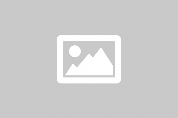logo button